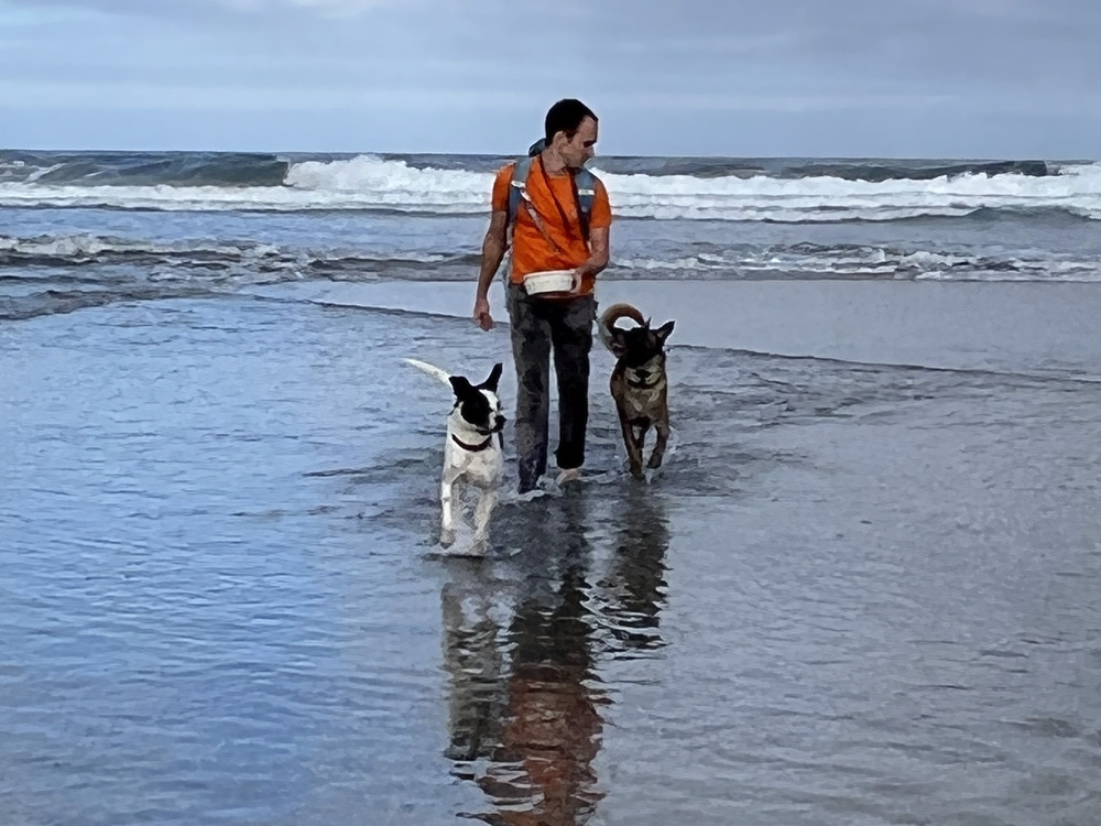 daniel montague and his dogs at the beach in 2022